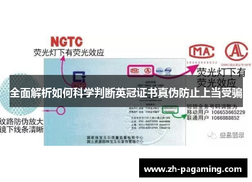 全面解析如何科学判断英冠证书真伪防止上当受骗