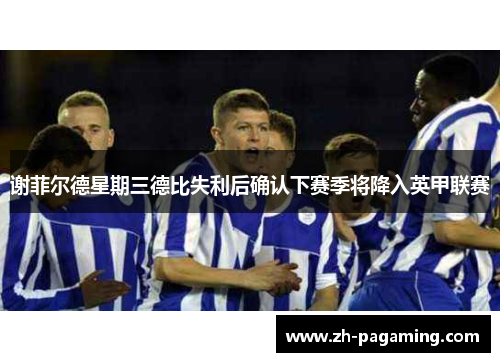 谢菲尔德星期三德比失利后确认下赛季将降入英甲联赛